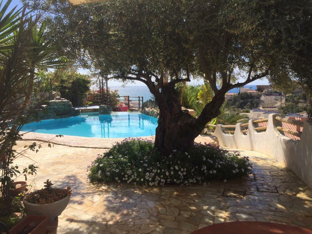 Studio Alba Beach El Campello Dış mekan fotoğraf